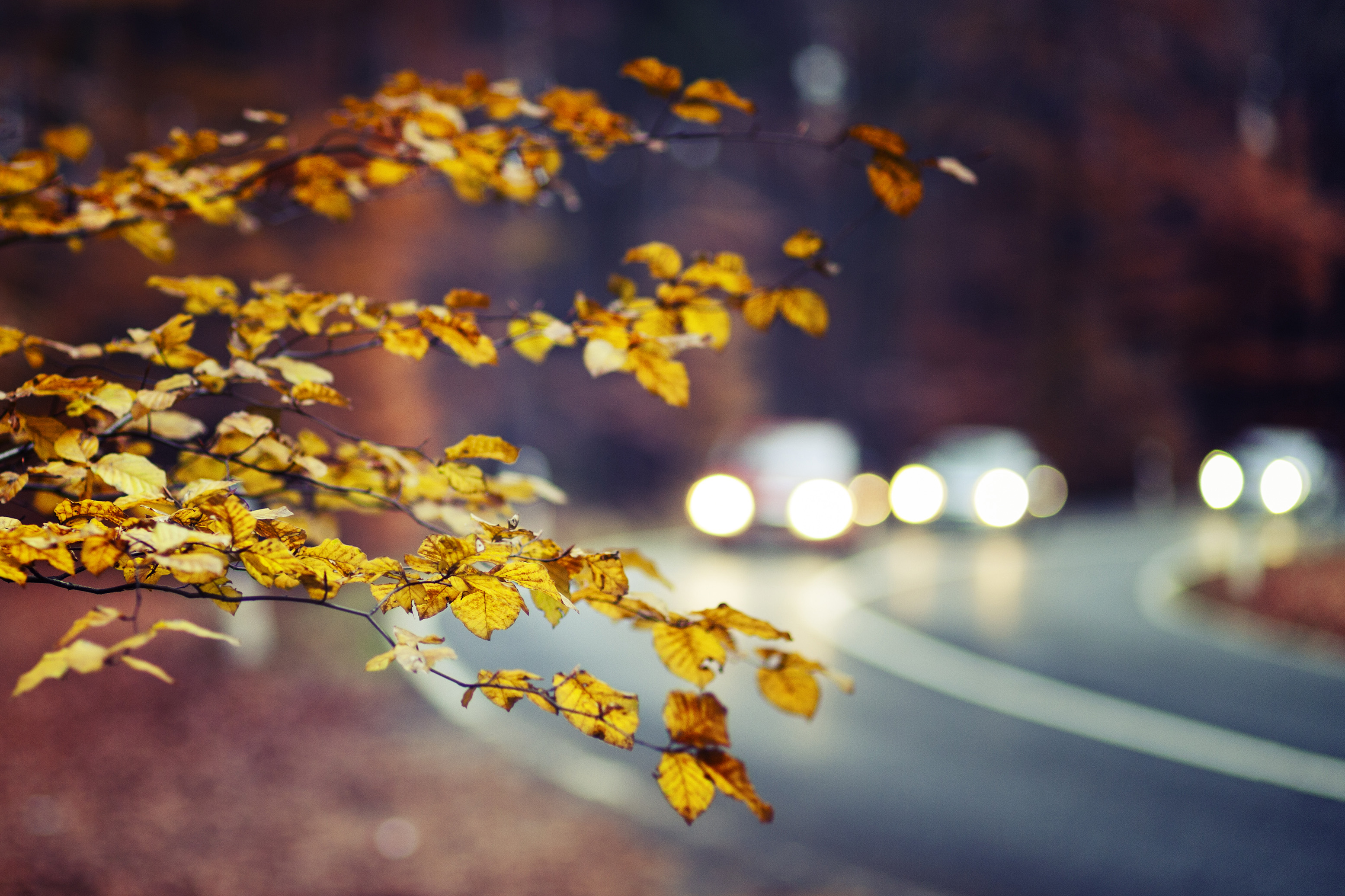 EUROPEAN METROLOGY RESEARCH PROGRAMME (EMRP)